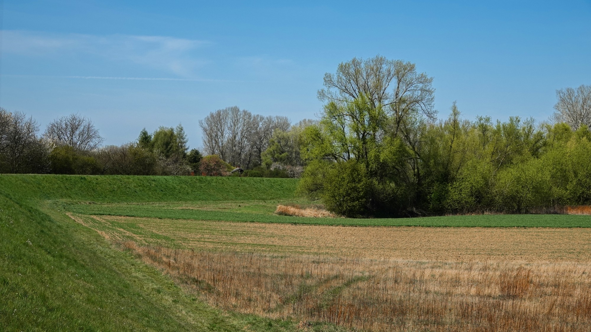 Całe piękno późnej wiosny - zdjęcie 14