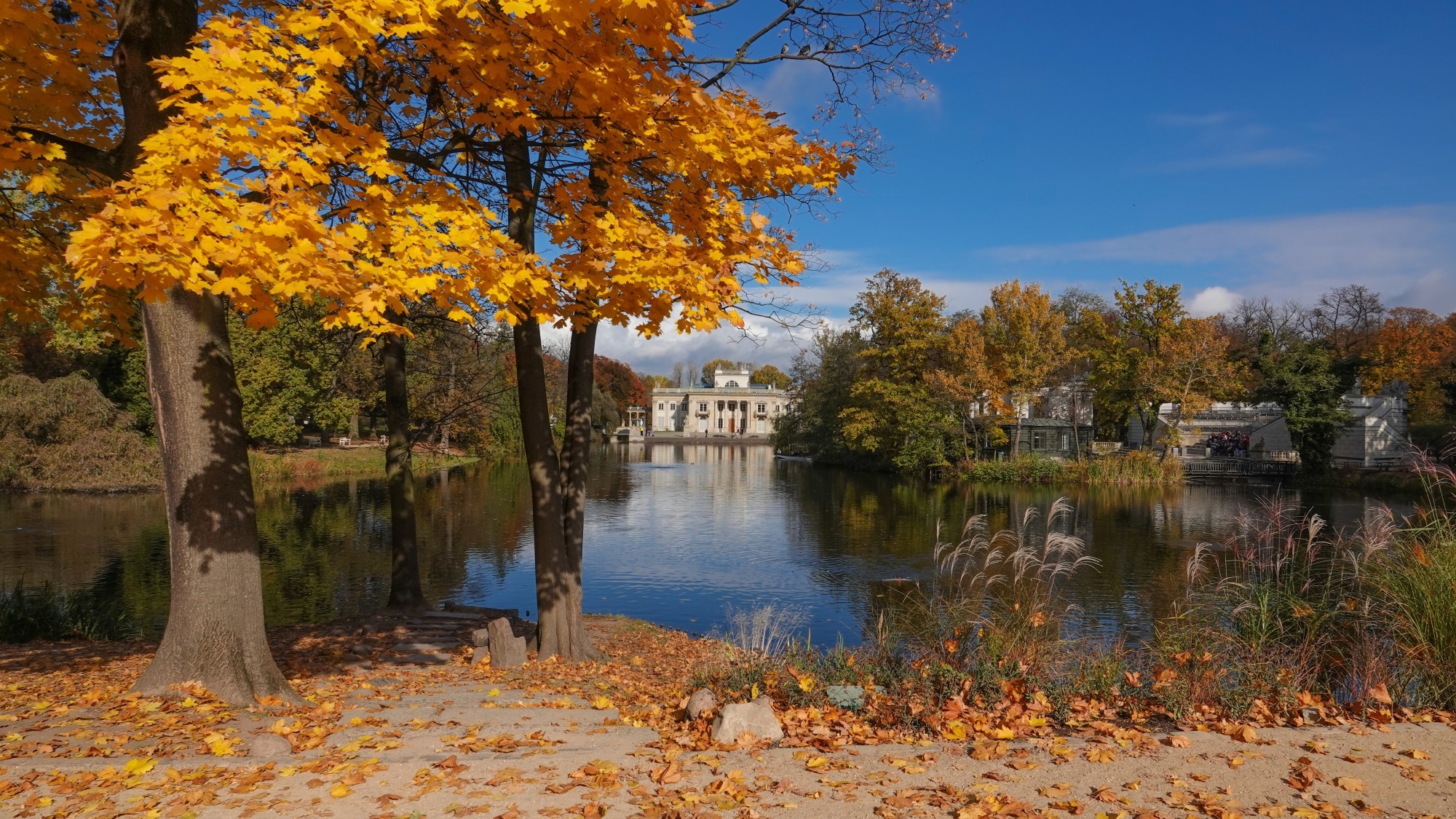 Jesienne klimaty - zdjęcie 51