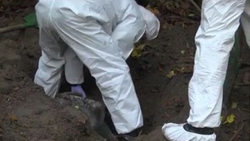Gdańsk: policja odnalazła 9 worków. W środku były ukradzione z cmentarzy ludzkie szczątki