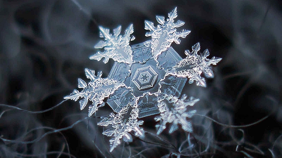 Płatek śniegu pod mikroskopem. Fot. Alexey Kljatov.