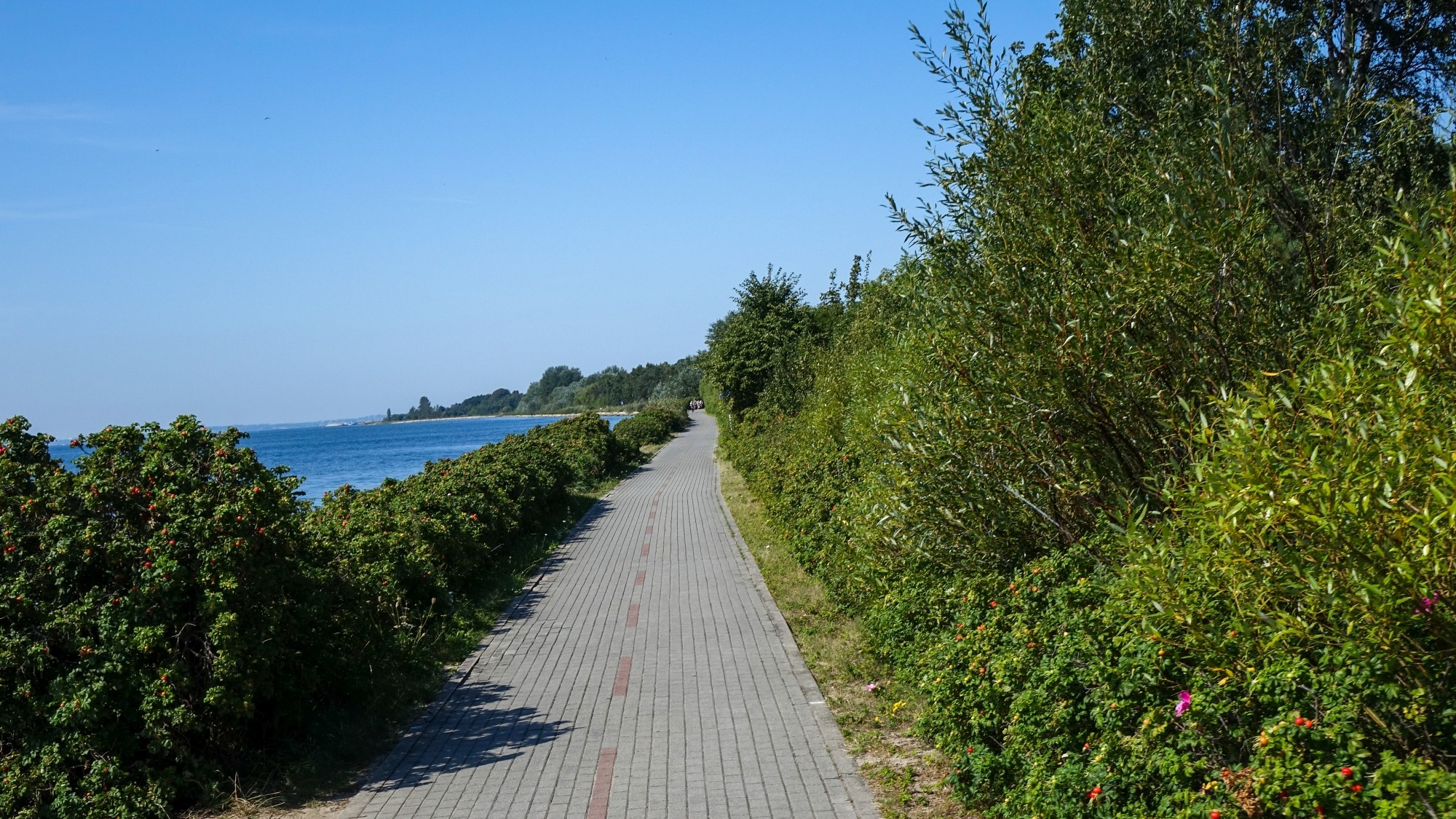 Późne lato na łonie natury - zdjęcie 40