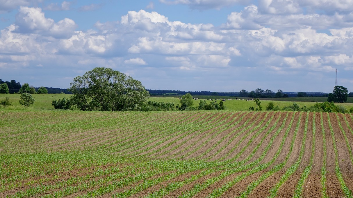 Czerwiec w obiektywie - zdjęcie 39