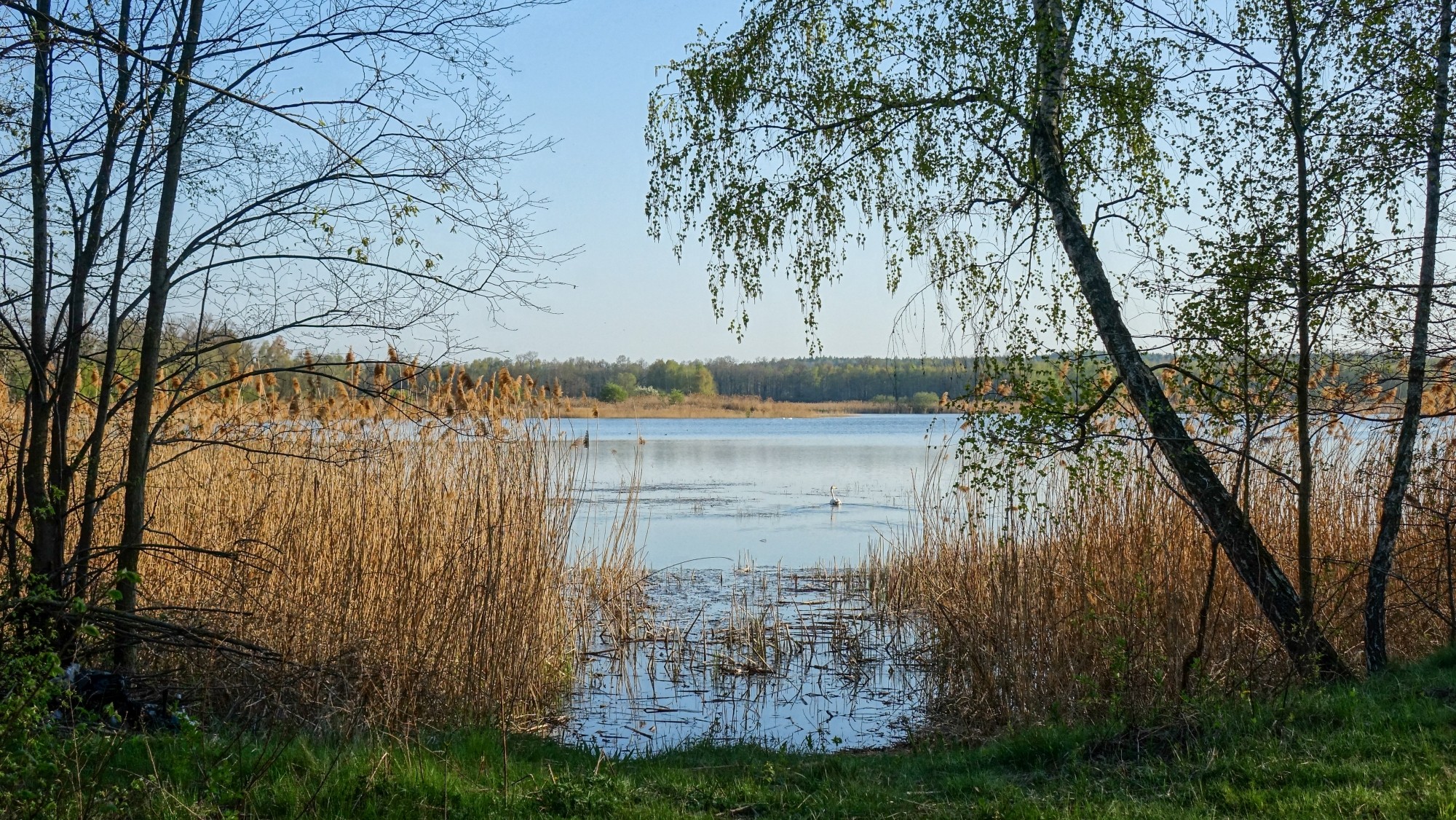 Kwiecień w obiektywie - zdjęcie 28