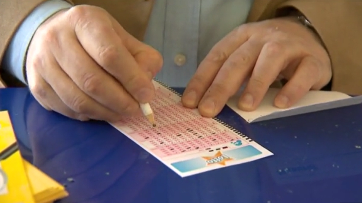 Wyniki losowania Lotto na 19 lutego. Sprawdź szczęśliwe numery