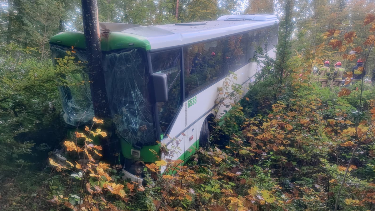 Wypadek autobusu pod Puckiem. Sześć osób rannych
