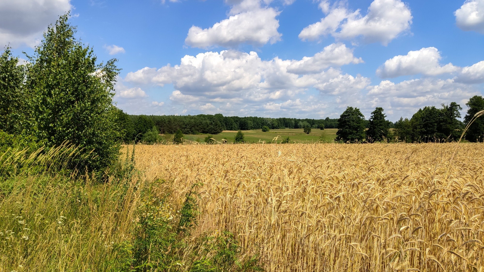 Lipiec w obiektywie - zdjęcie 23