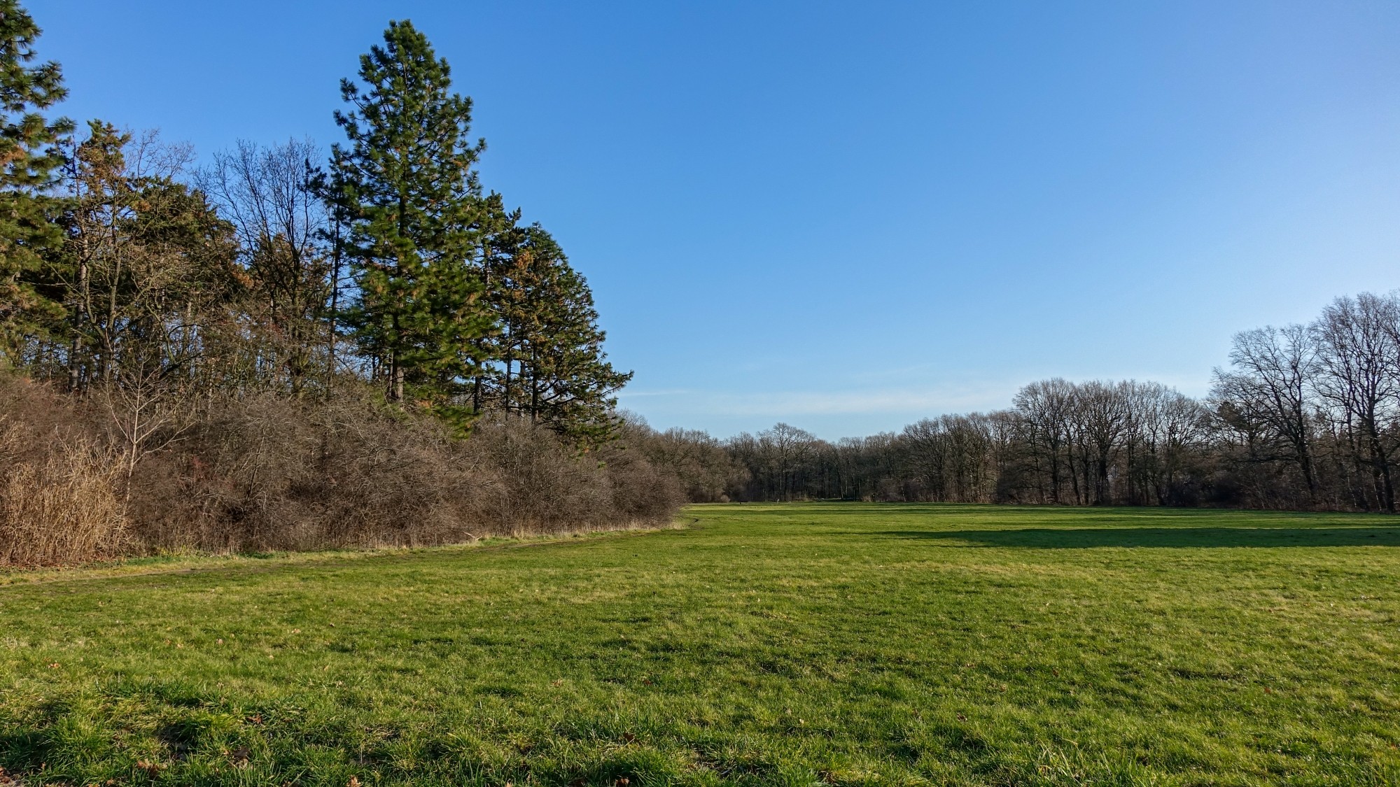 Najcieplejsza zima w historii - zdjęcie 8