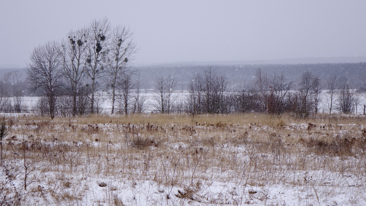 Marzec w obiektywie - zdjęcie 63