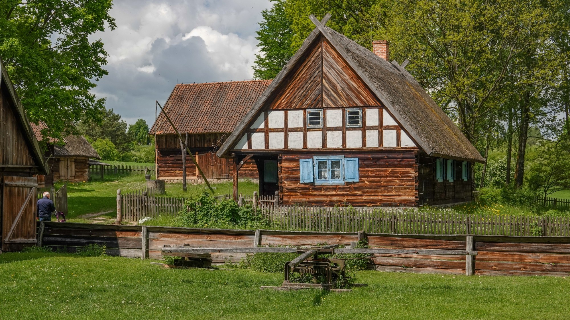 Lato w plenerze - zdjęcie 8