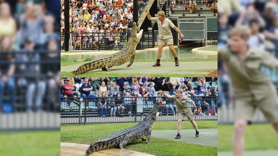 Fot. Twitter / Terri Irwin / @TerriIrwin.