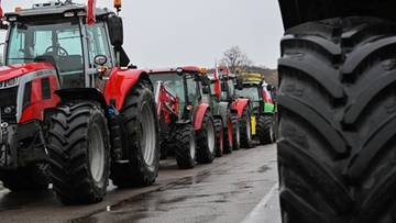 Niskie ceny skupu w rolnictwie. Polacy zabrali głos w sondażu