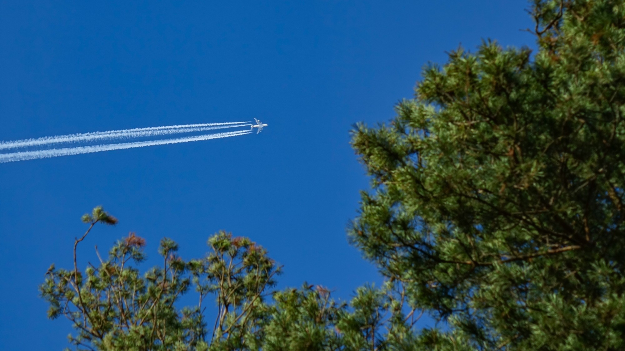 Listopad w obiektywie - zdjęcie 9