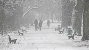 20.01.2023 05:58 W weekend silne zawieje i zamiecie śnieżne. W których regionach spadnie nawet 15 cm śniegu?