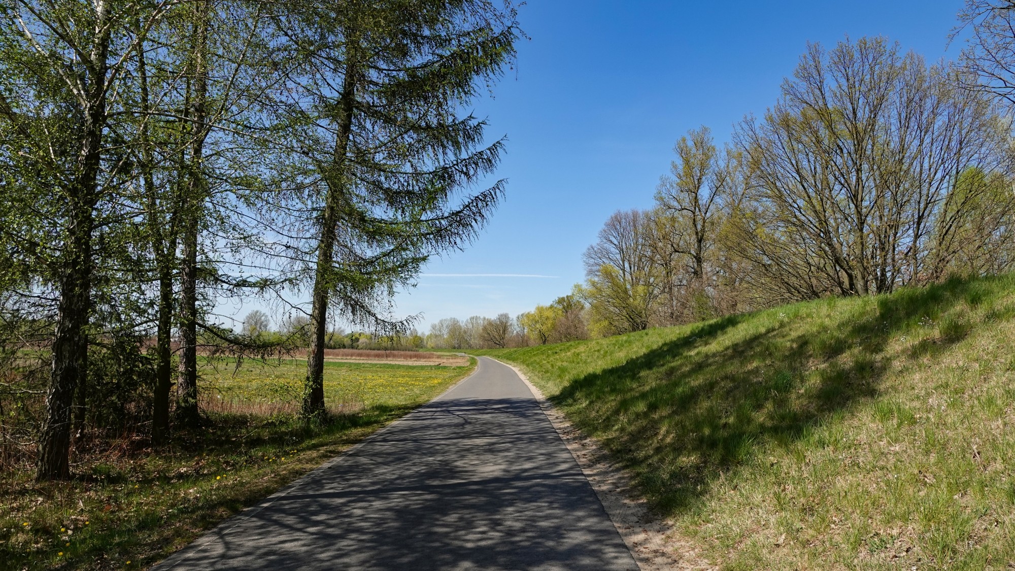 Kwiecień w obiektywie - zdjęcie 36