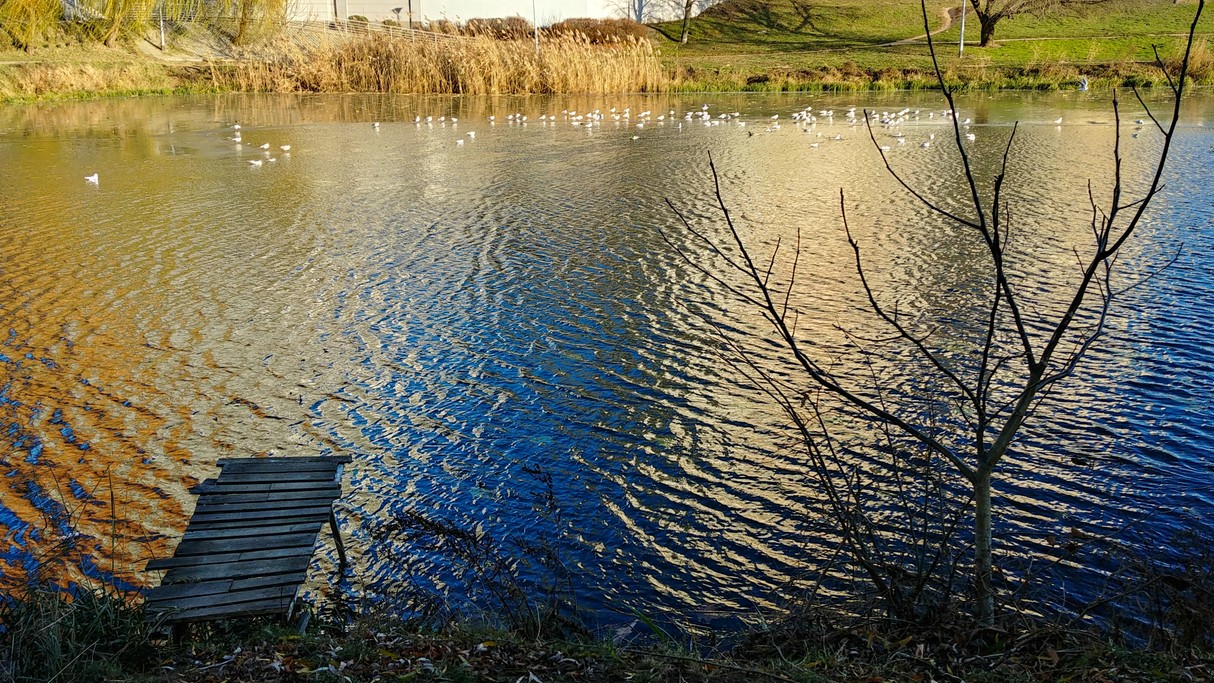 Listopad w obiektywie - zdjęcie 34