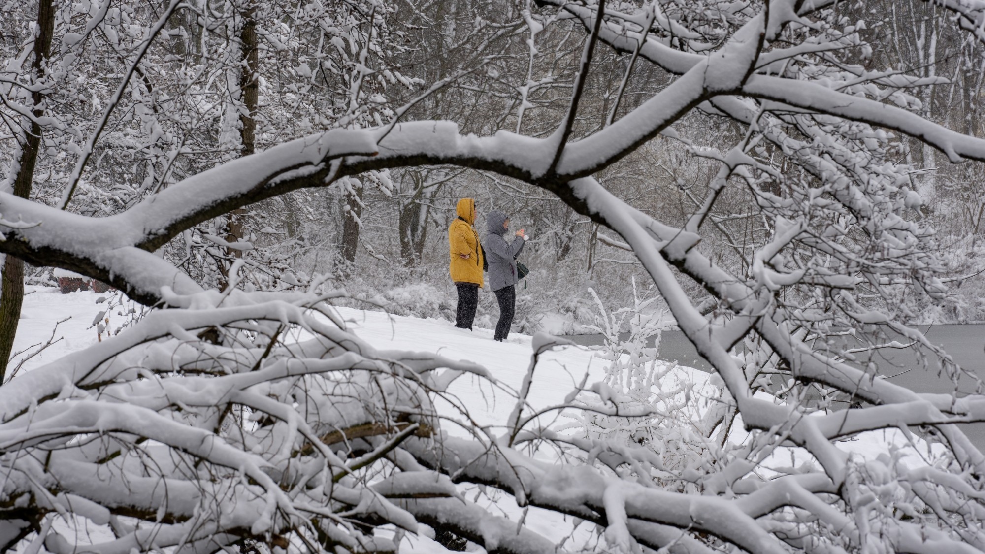 Miejska przyroda - zdjęcie 35