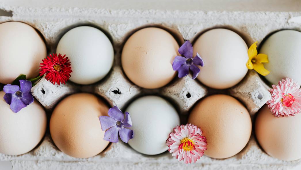 5 pomysłów na wykorzystanie wytłaczanek po jajkach