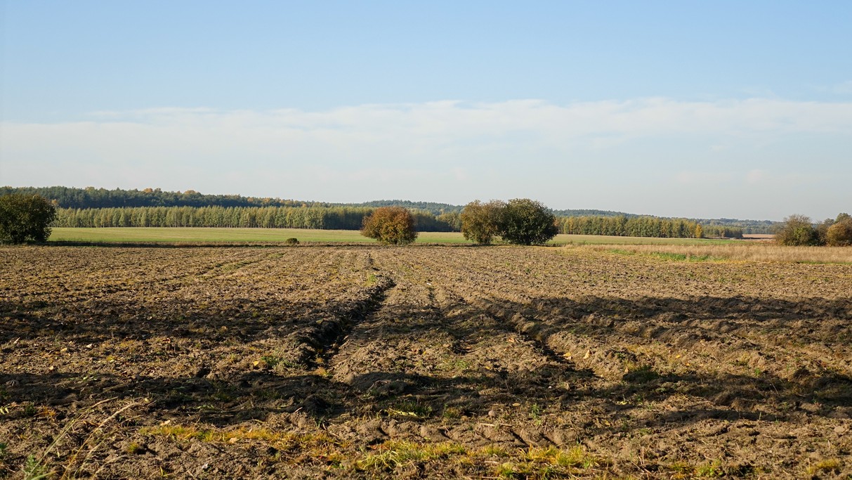 Podróż przez jesienną Polskę - zdjęcie 44