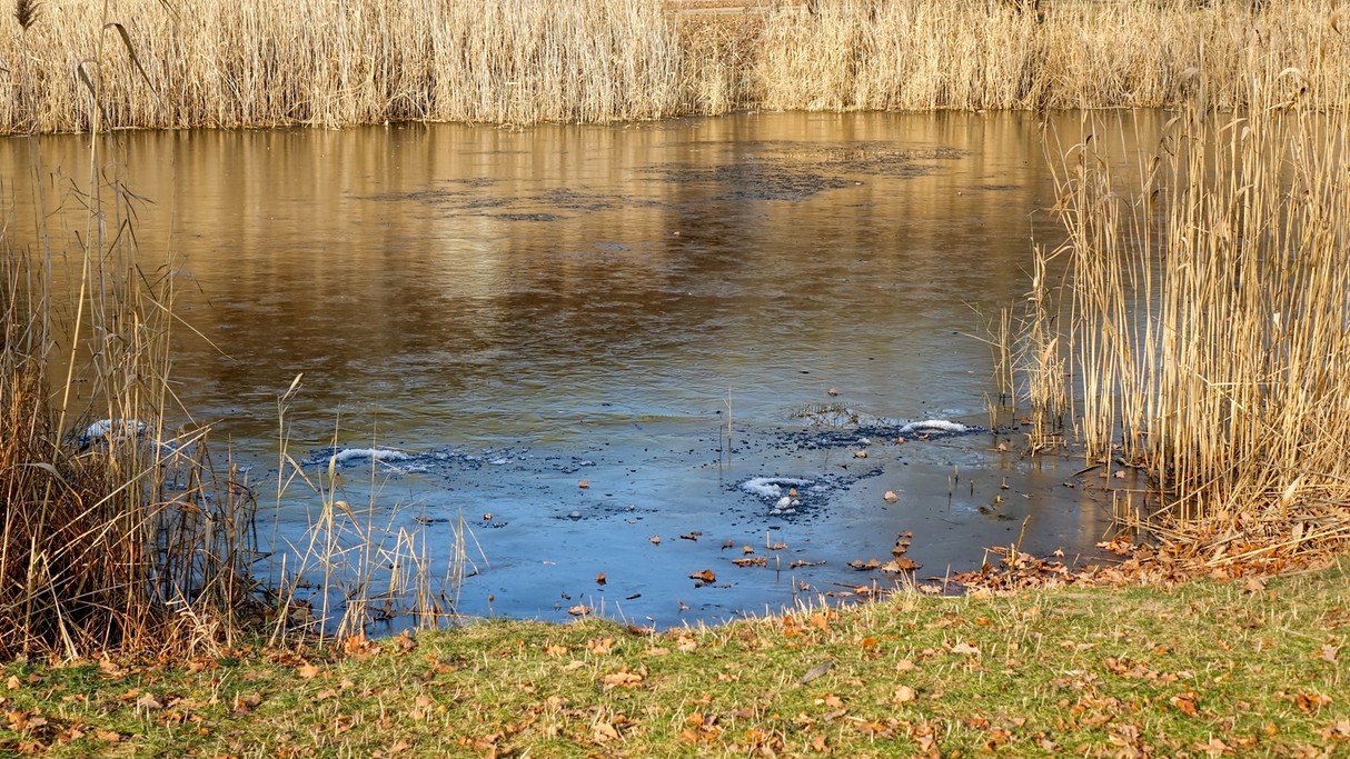 Listopad w obiektywie - zdjęcie 13