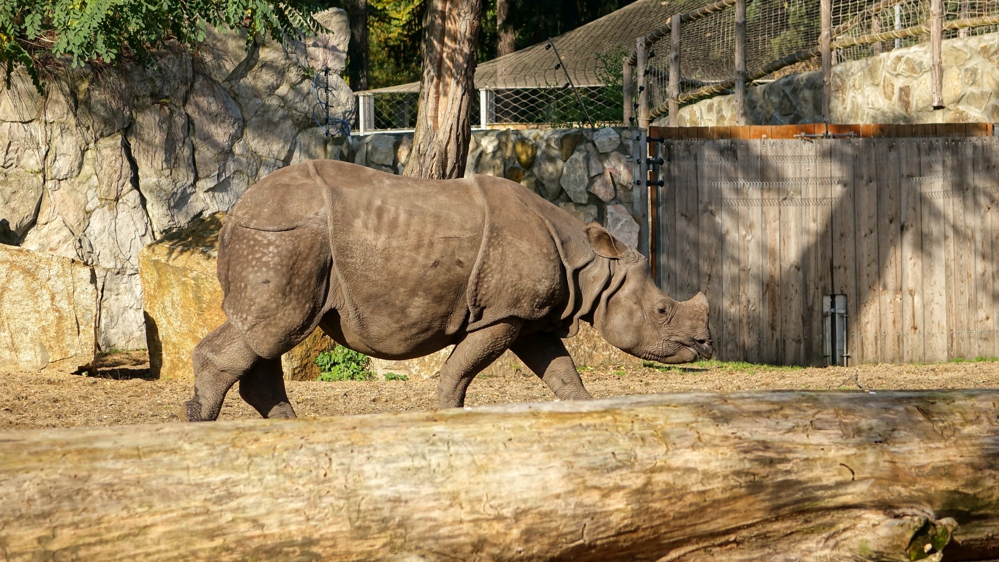 Z kamerą wśród zwierząt - zdjęcie 50