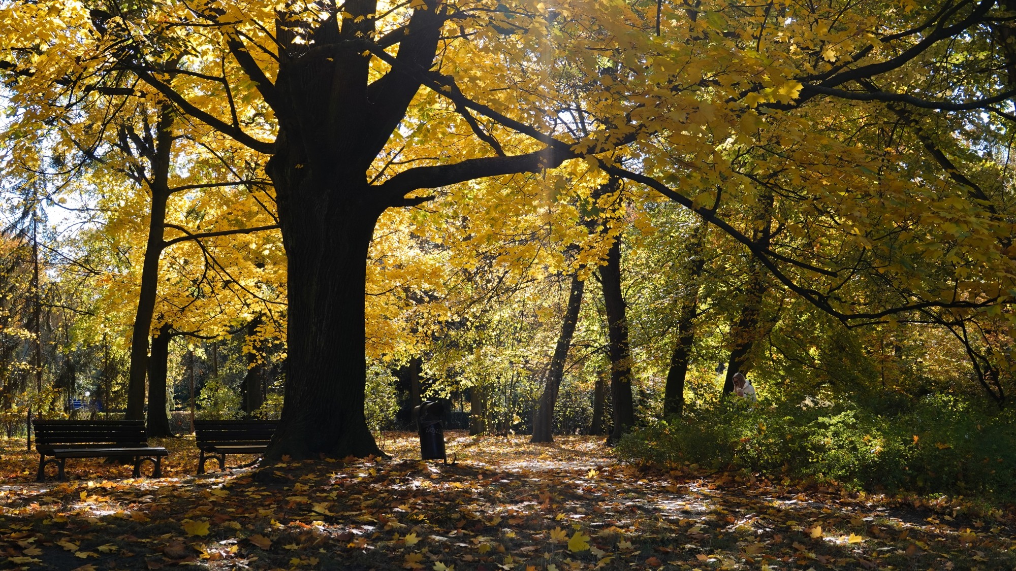 Jesienne klimaty - zdjęcie 46