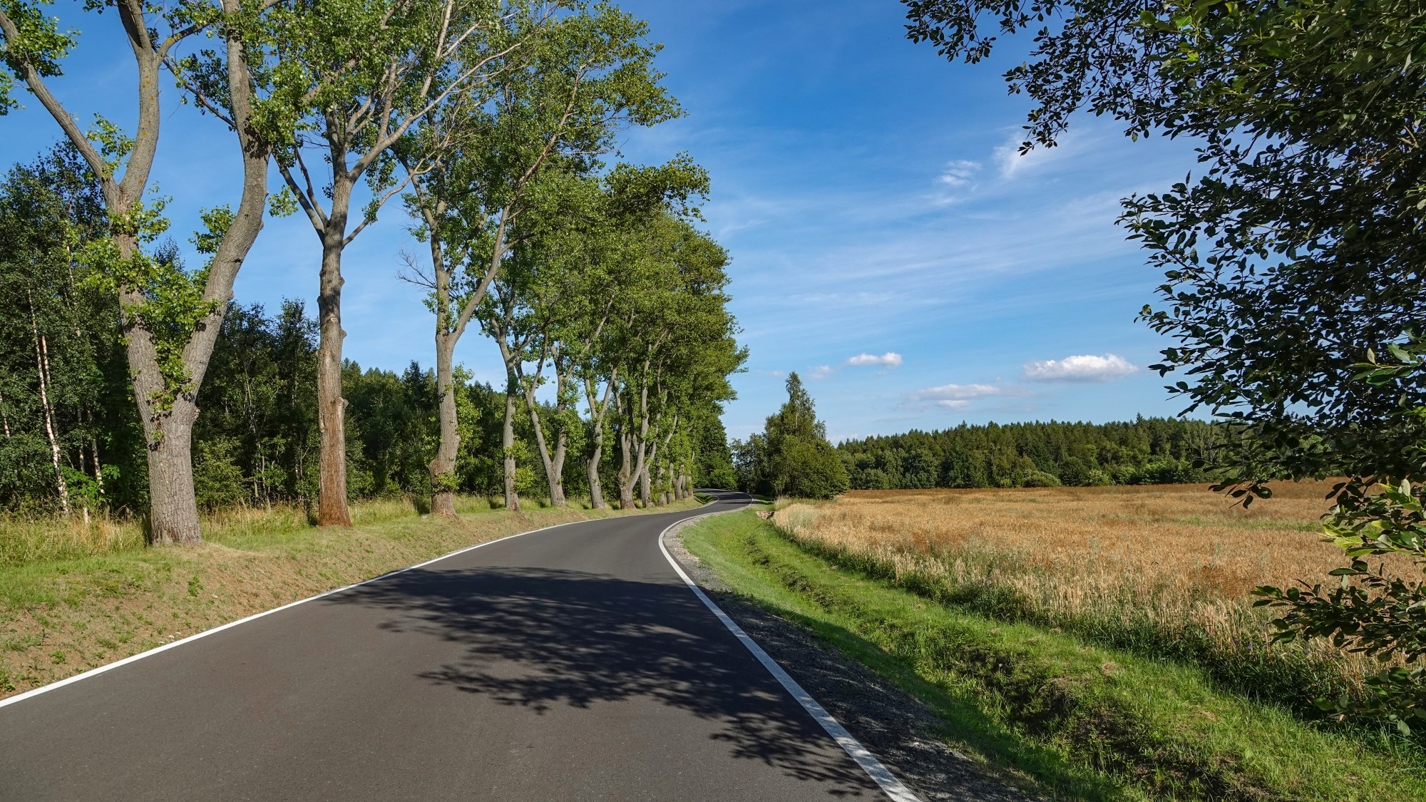 Środek lata w plenerze - zdjęcie 4