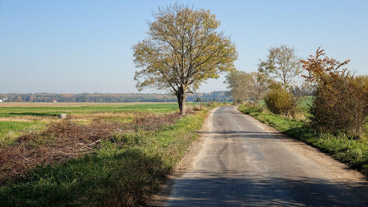Podróż przez jesienną Polskę - zdjęcie 38