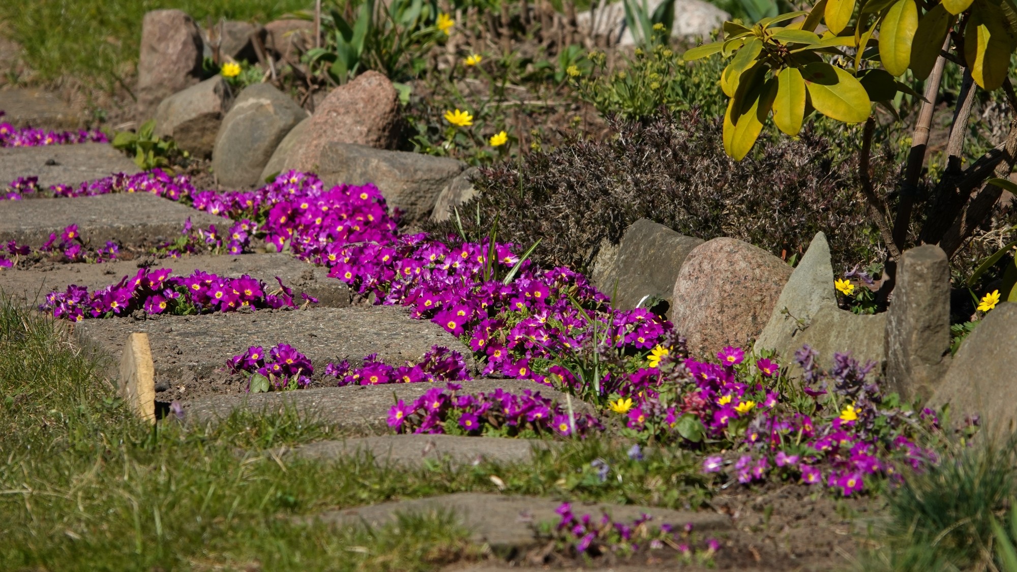 Kwiecień w obiektywie - zdjęcie 43