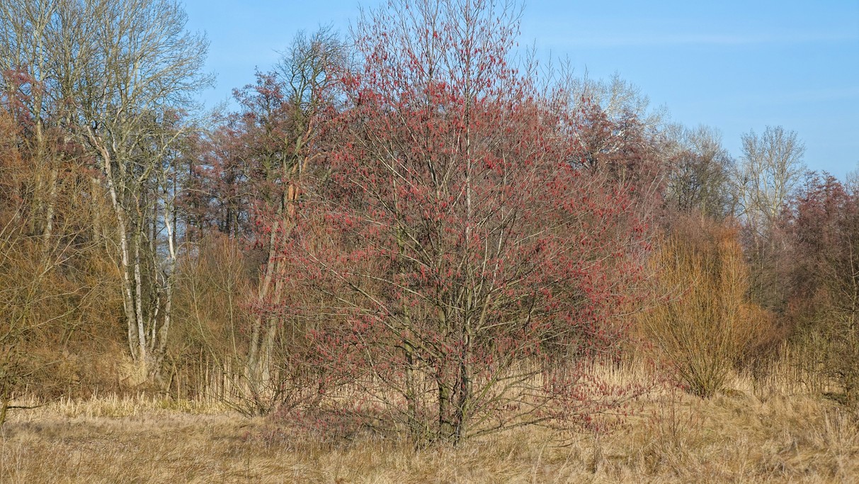 Luty w obiektywie - zdjęcie 38