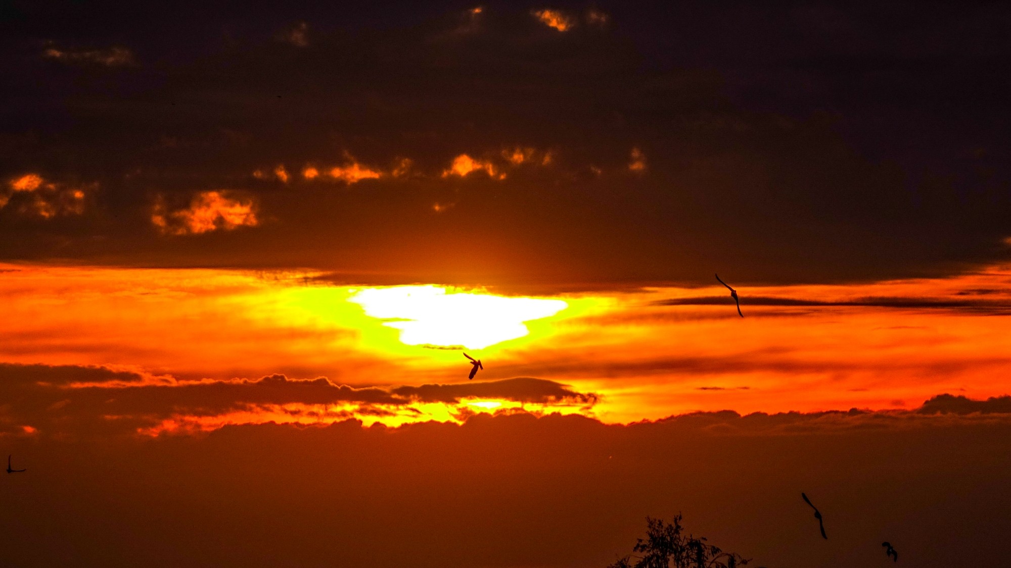 Romantyczne zachody Słońca - zdjęcie 10