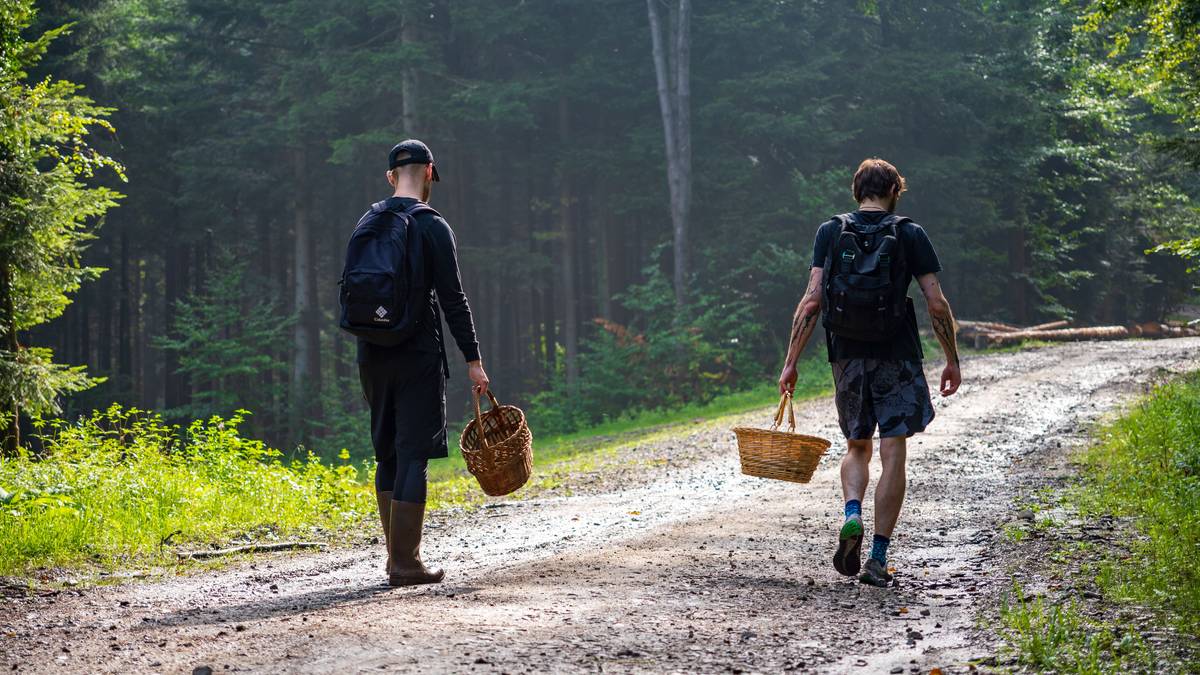 Szykują ostrzejsze przepisy ws. migrantów. Mogą uderzyć w grzybiarzy