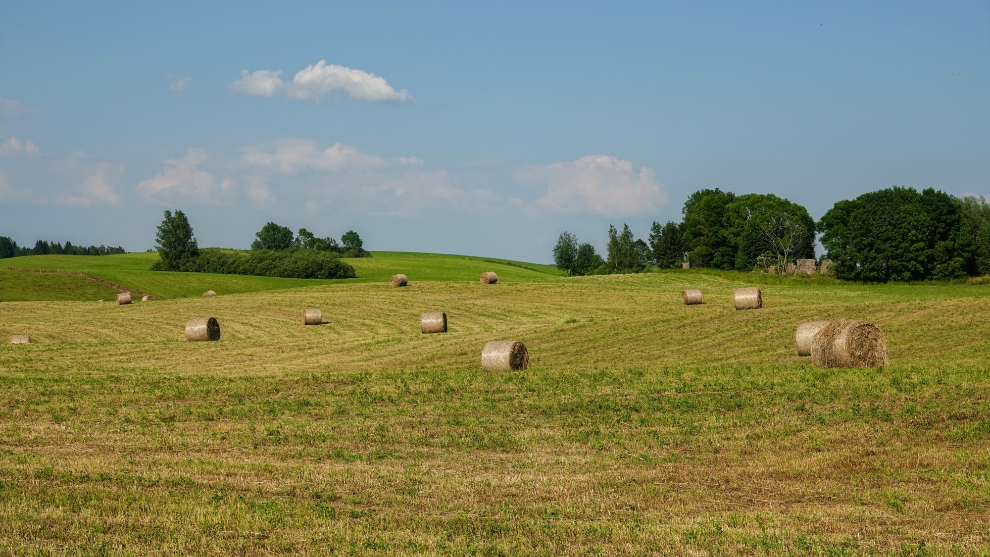 Podróż przez polską prowincję - zdjęcie 10