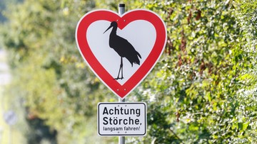 Bocian na znaku drogowym w kształcie serca. Władze niemieckiego miasteczka Cleebronn w ten sposób chronią przyrodę