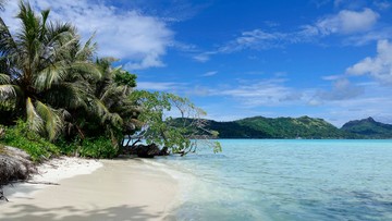 Nietypowy pomysł federacji. Zgrupowanie przed igrzyskami na Tahiti