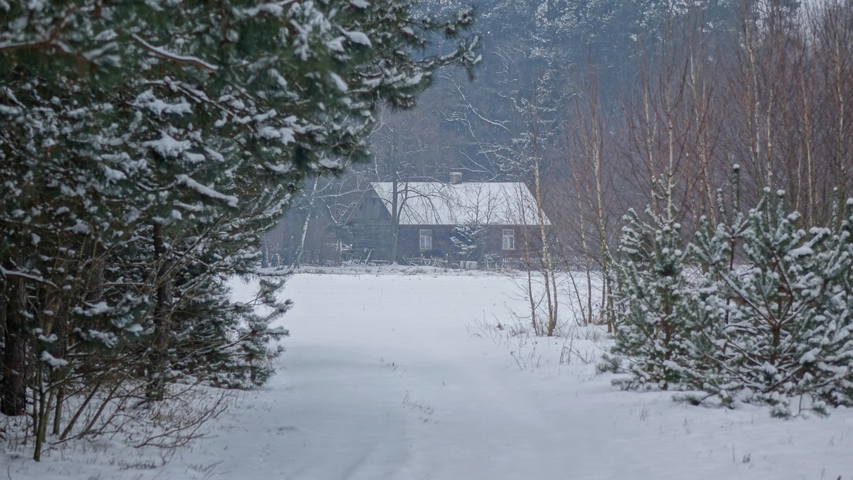Styczeń w obiektywie - zdjęcie 42