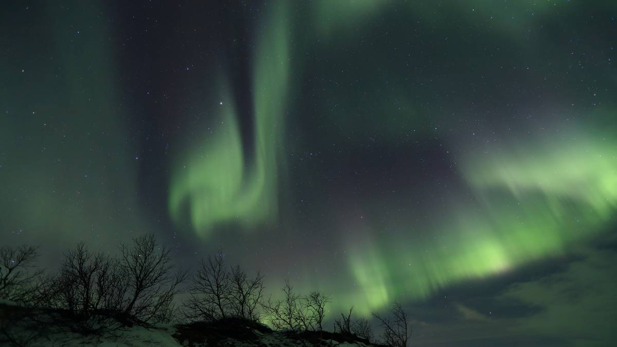 Severe solar storm triggers aurora alerts across Poland, PolsatNews.pl reports