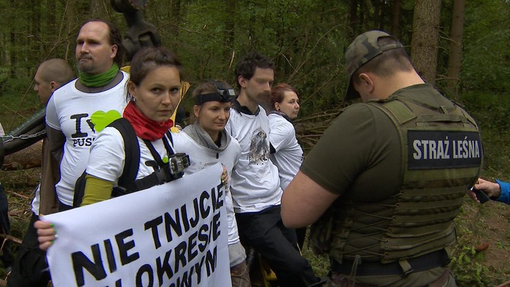 Prokuratura otrzymała zawiadomienia dotyczące interwencji Straży Leśnej w Puszczy Białowieskiej