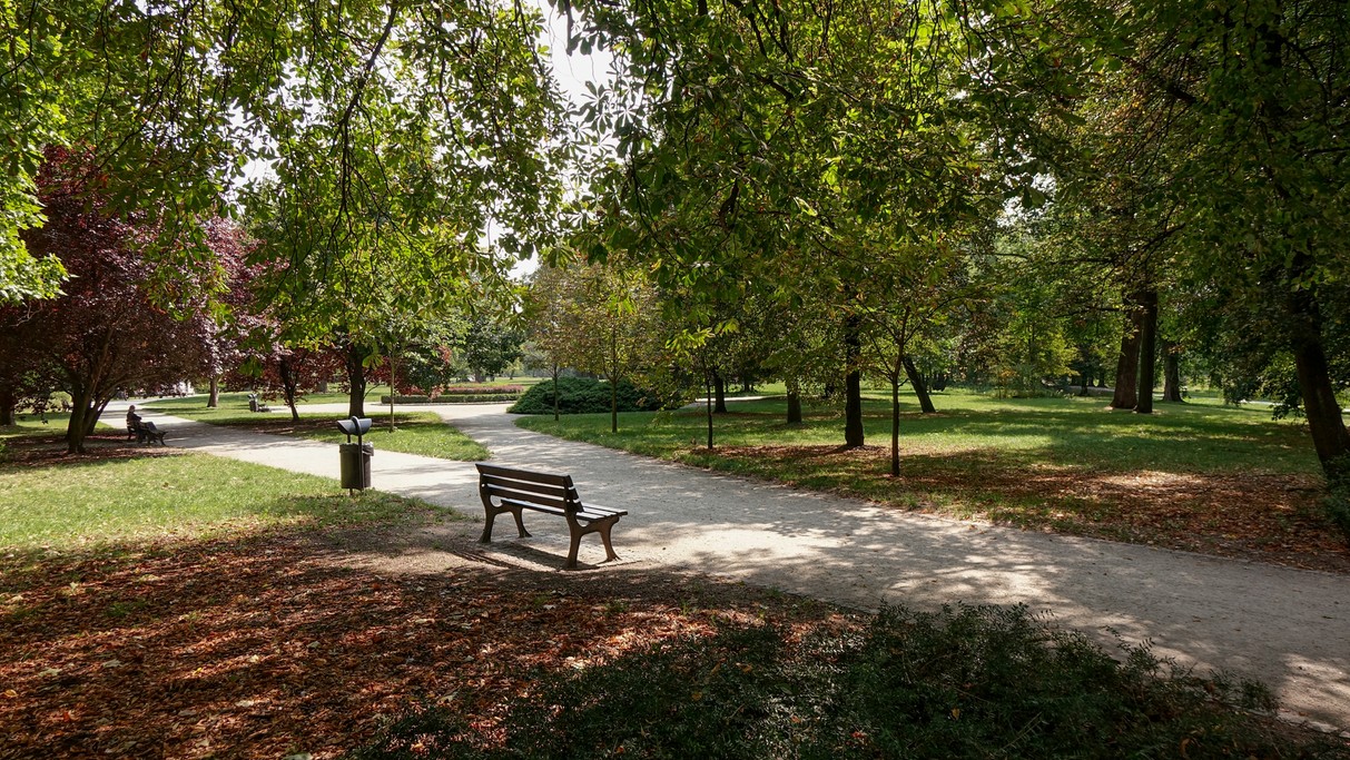 Uroki końca lata - zdjęcie 21