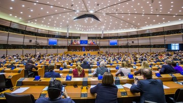 Parlament Europejski za zniesieniem wiz dla Gruzinów