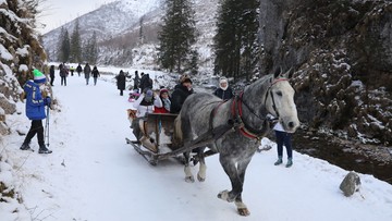 Górale będą masowo otwierać swoje biznesy, bez względu na obostrzenia 