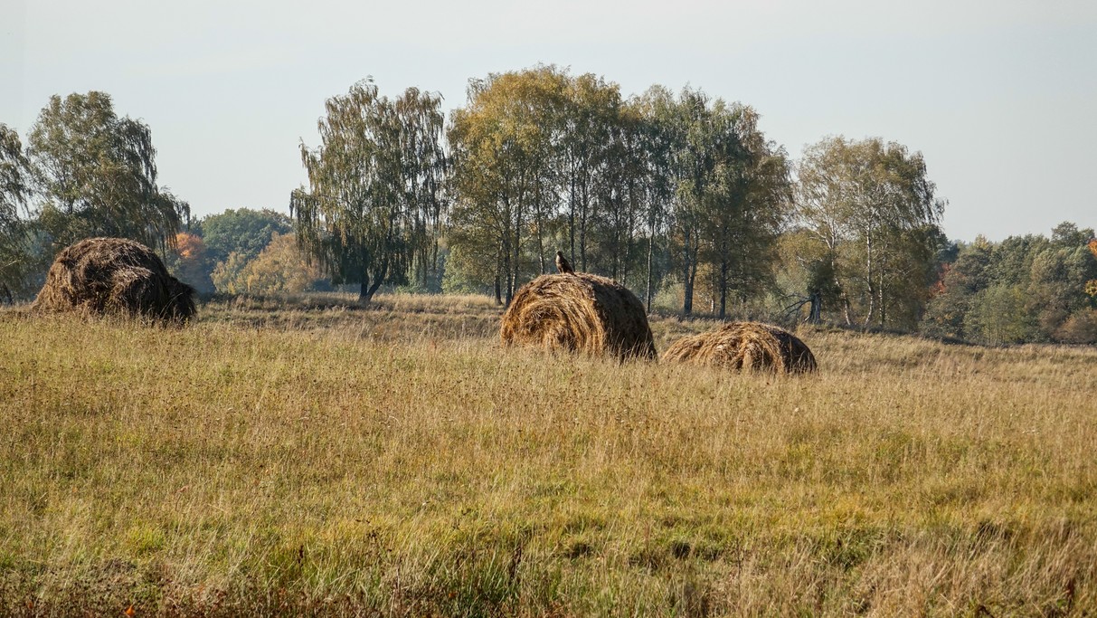 Podróż przez jesienną Polskę - zdjęcie 18