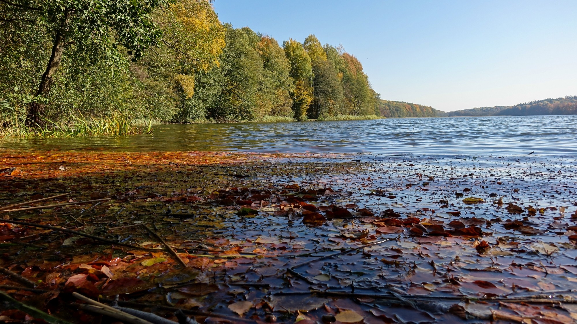 Jesień w górach, lasach i nad jeziorami - zdjęcie 24