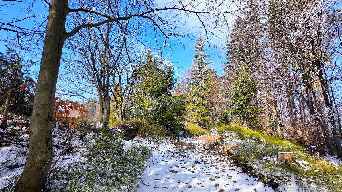 Kraina wiosny i zimy we mgle. Fot. TwojaPogoda.pl