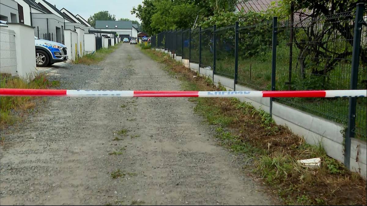 Akcja służb pod Rzeszowem. Szczątki płodów na posesji