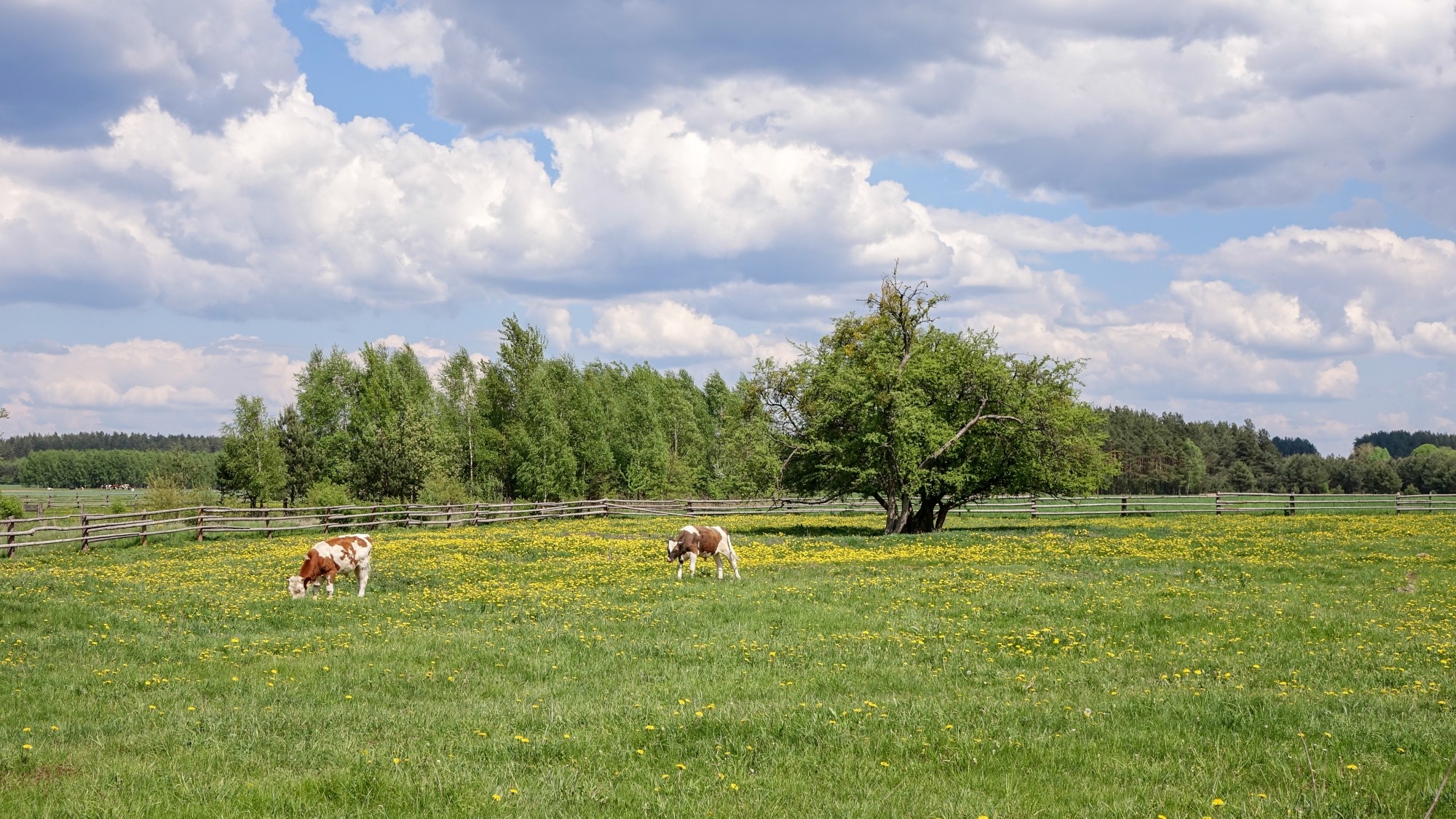 Mazury wiosną - zdjęcie 44
