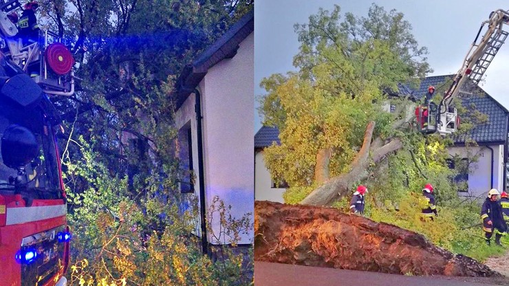 Nawałnica przewróciła drzewo na dom w Pobłociu koło Słupska