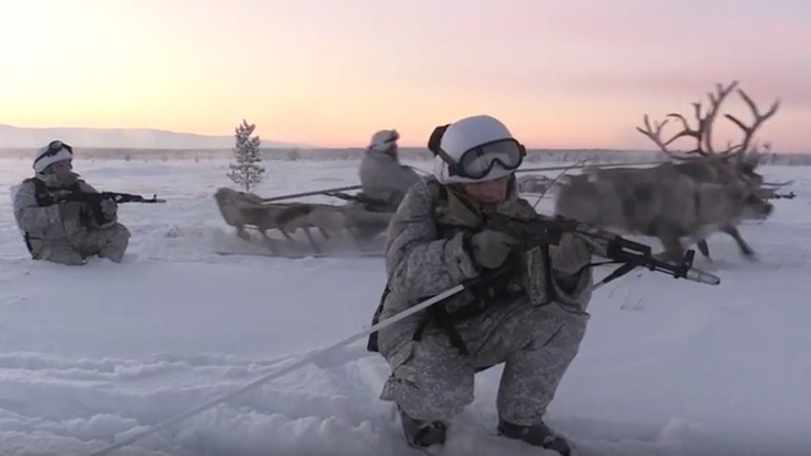 Renifery i psy husky na wyposażeniu rosyjskiej armii. Zobacz ćwiczenia