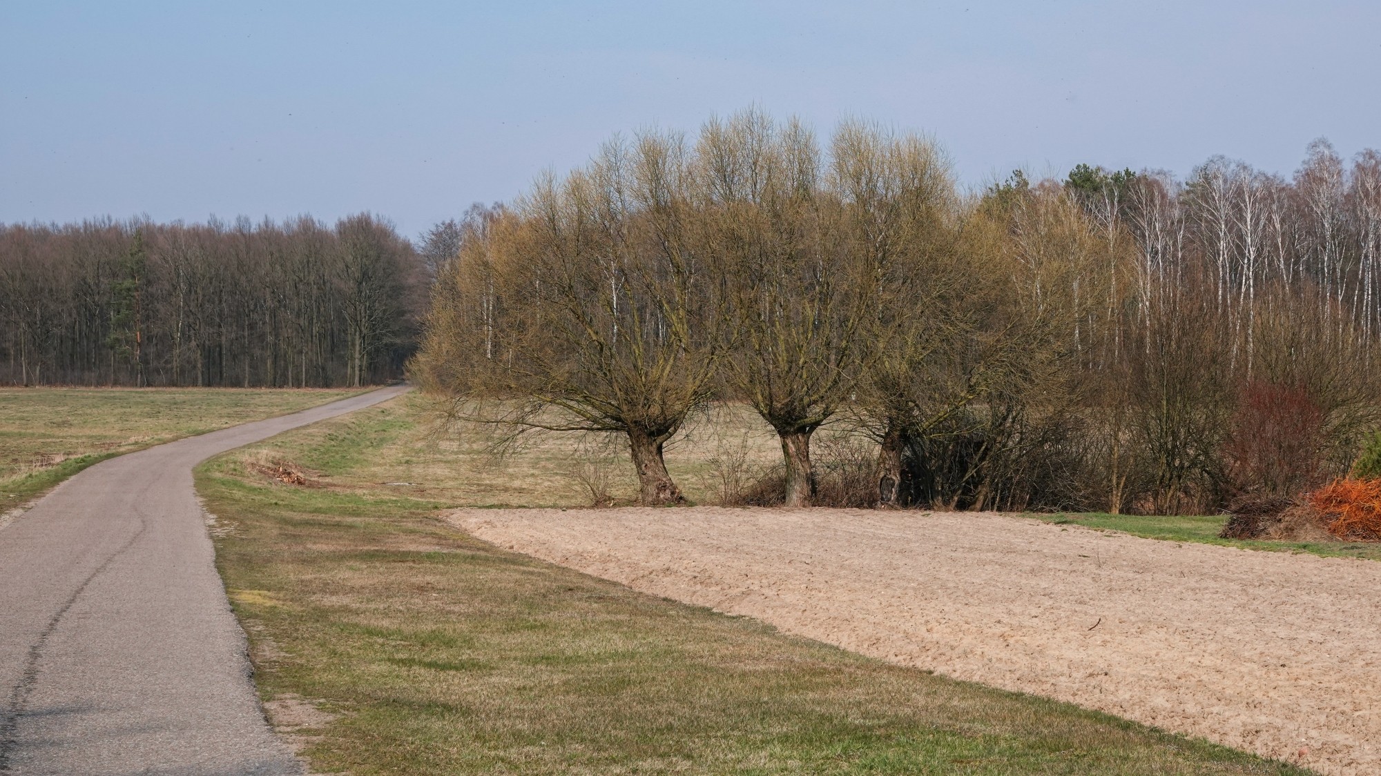 Marzec w obiektywie - zdjęcie 54