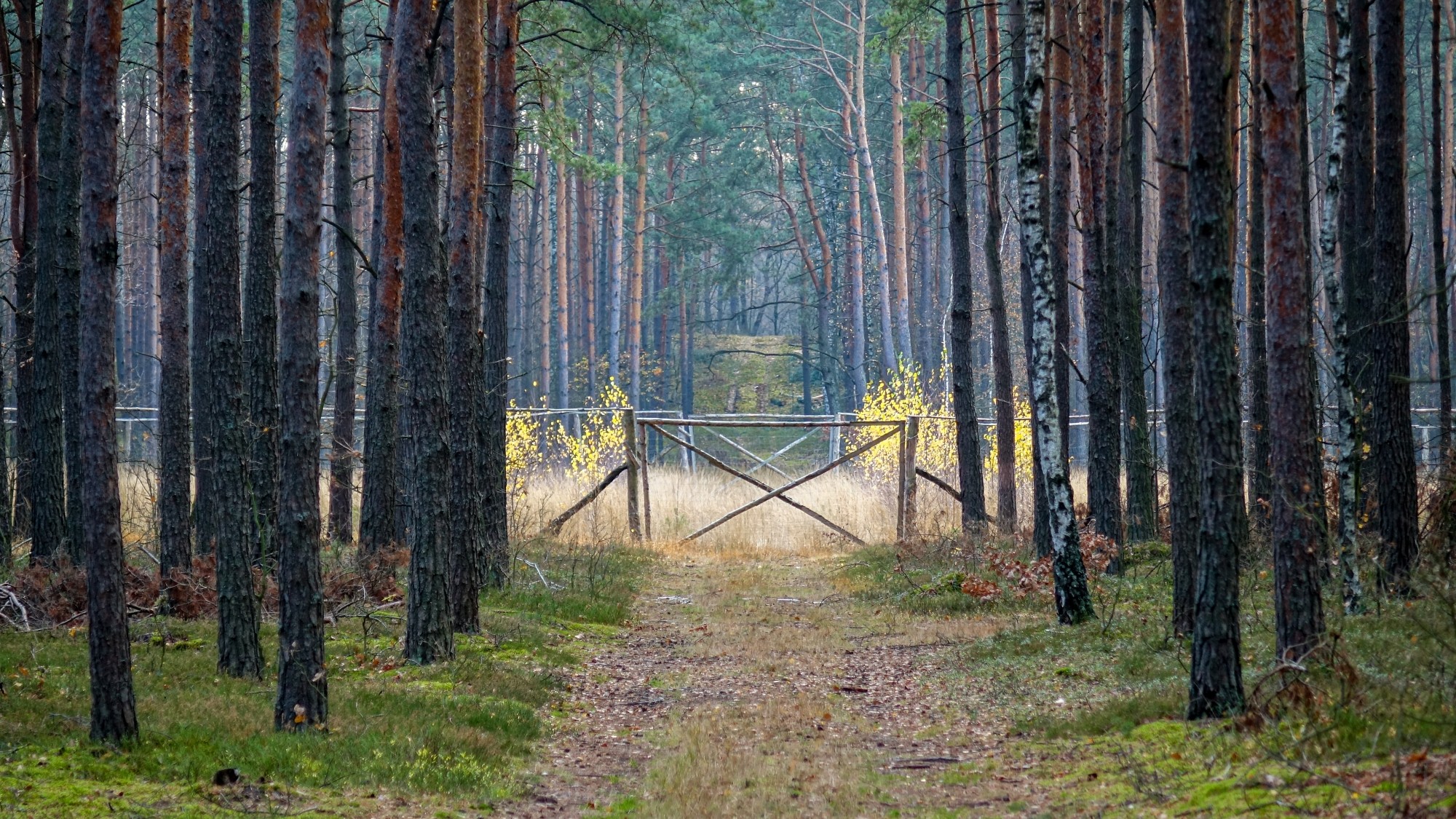 Listopad w obiektywie - zdjęcie 22