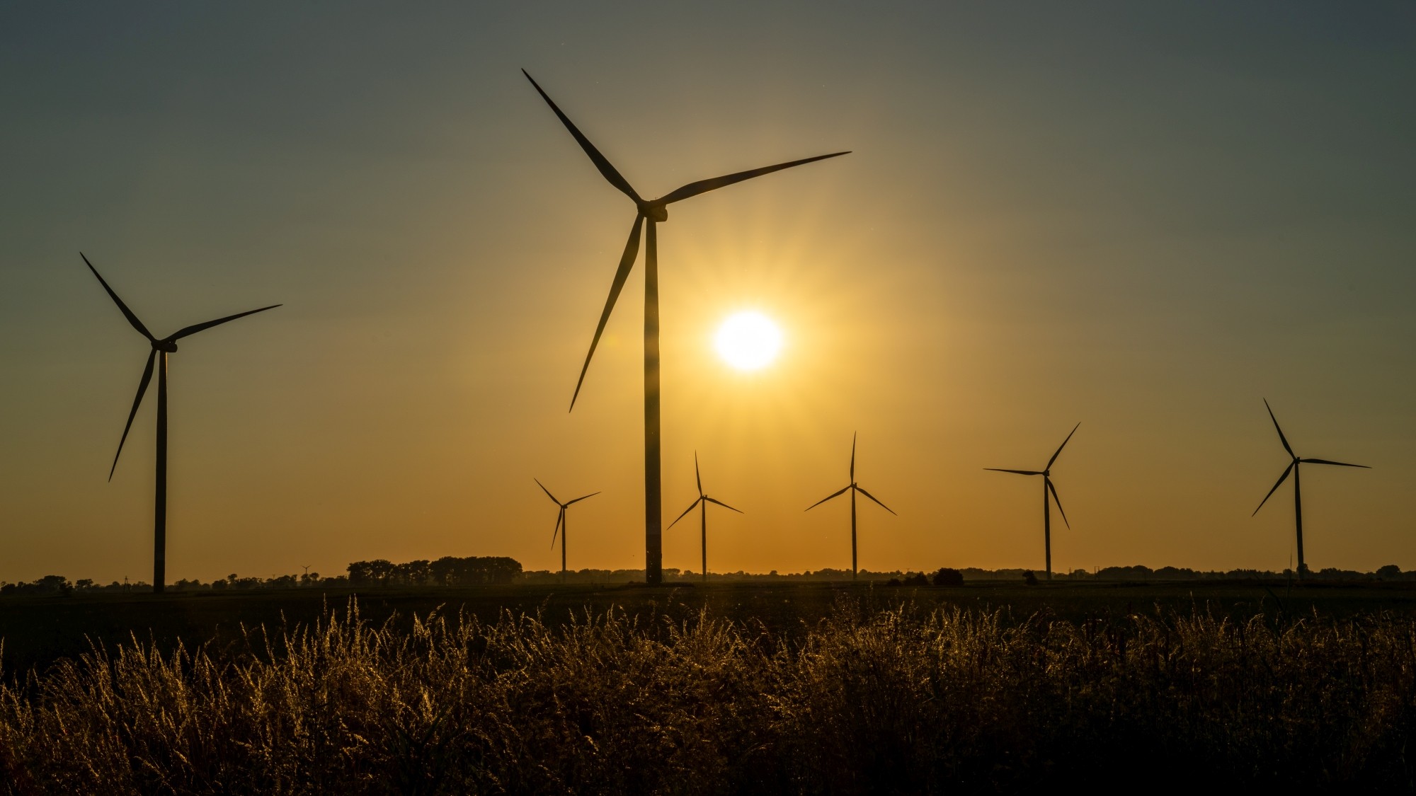 Kolory lata - zdjęcie 30